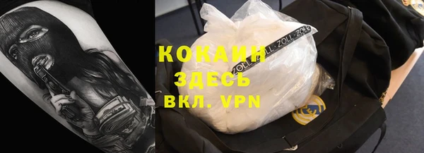 гидра Арсеньев