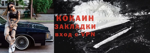 гидра Арсеньев