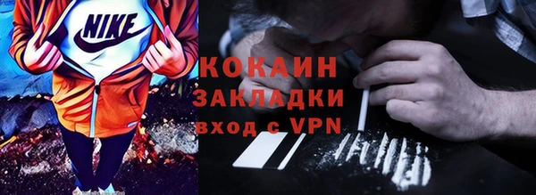 гидра Арсеньев