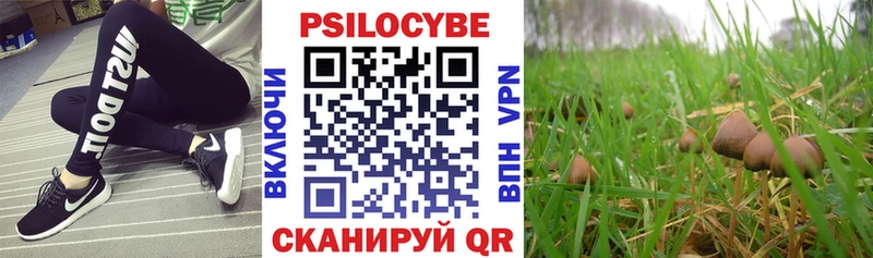 Галлюциногенные грибы Cubensis  Кувшиново 